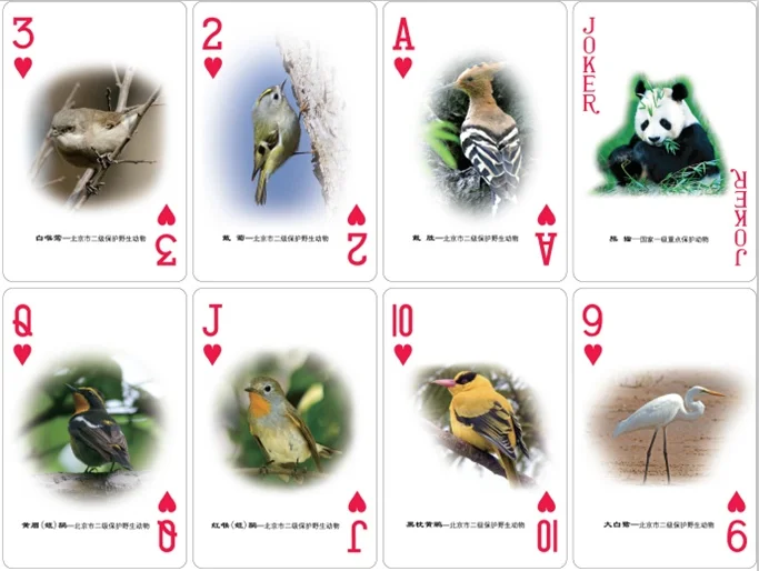 问鼎娱乐棋牌赛事活动